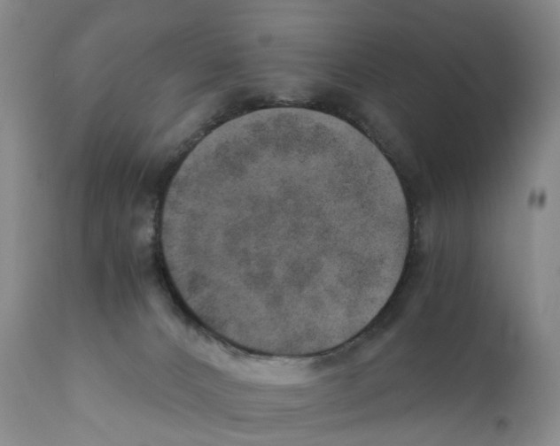 X0000110890032200907161537