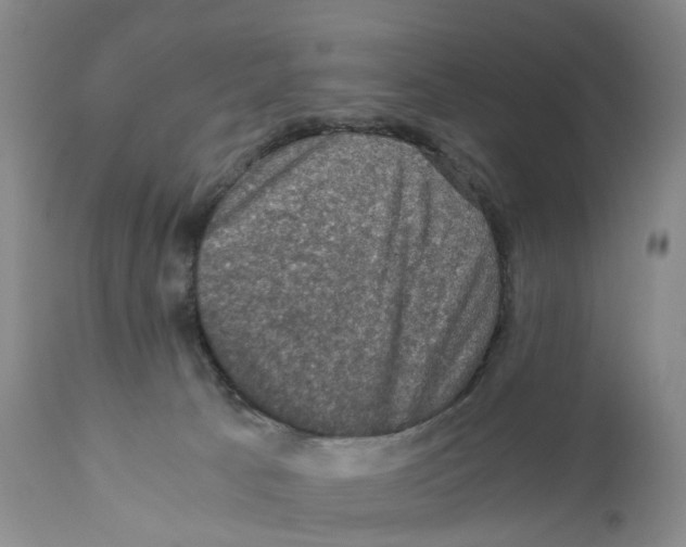 X0000110890033200907161537