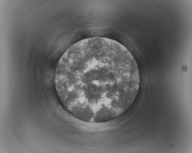 X0000110890034200907161537