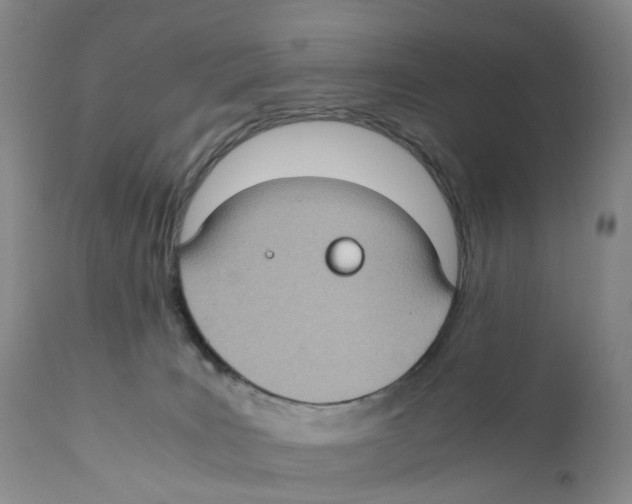 X0000110890035200907161537