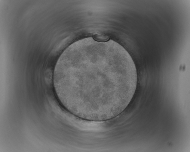 X0000110890036200907161537