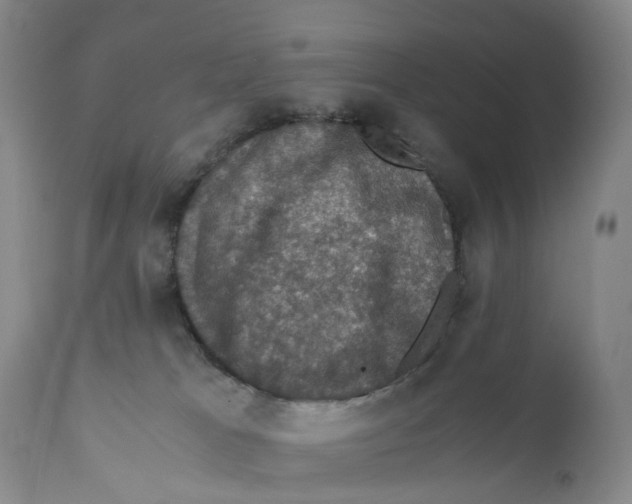 X0000110890037200907161537