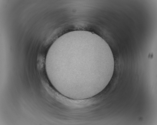 X0000110890038200907161537
