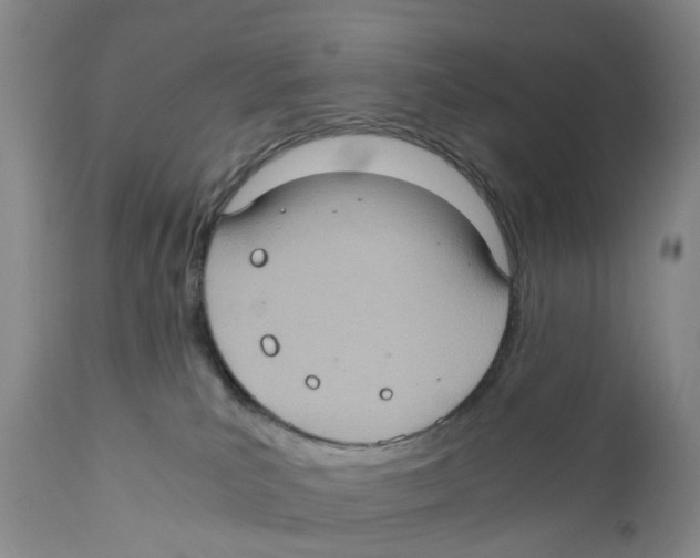 X0000110890039200907161537