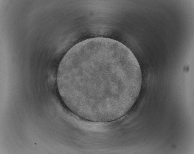 X0000110890040200907161537