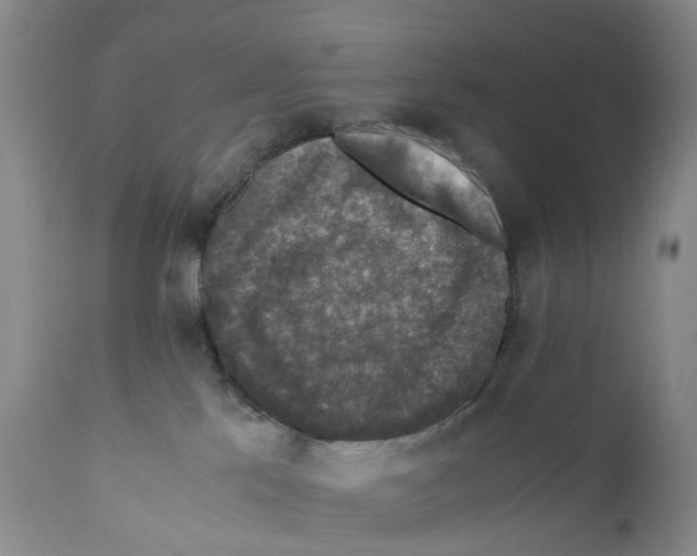 X0000110890041200907161537