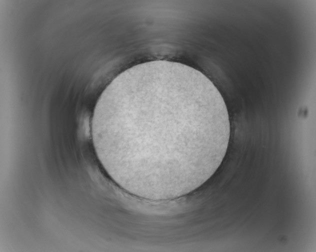 X0000110890042200907161537