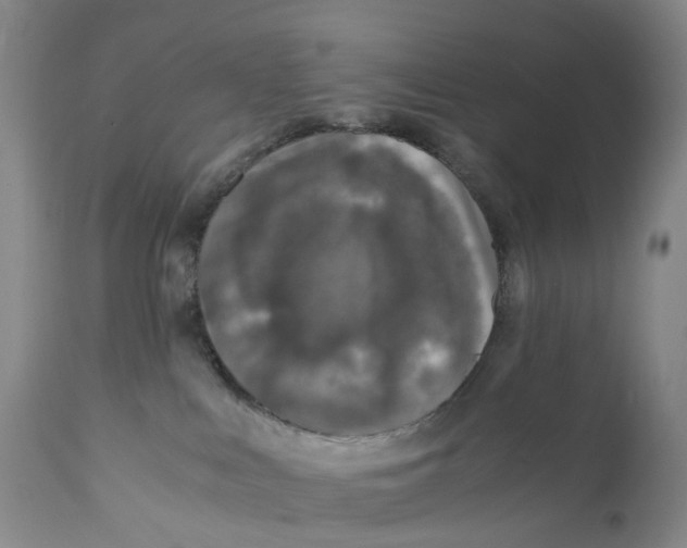 X0000110890043200907161537
