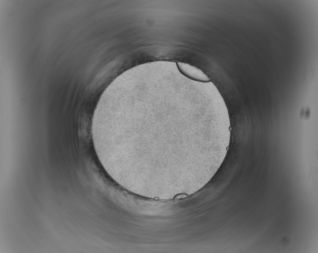 X0000110890044200907161537