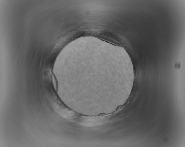 X0000110890045200907161537
