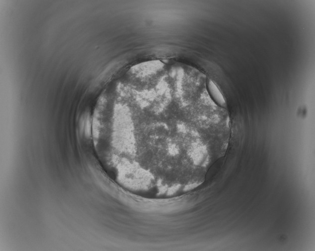 X0000110890046200907161537