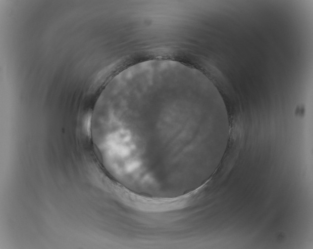 X0000110890047200907161537