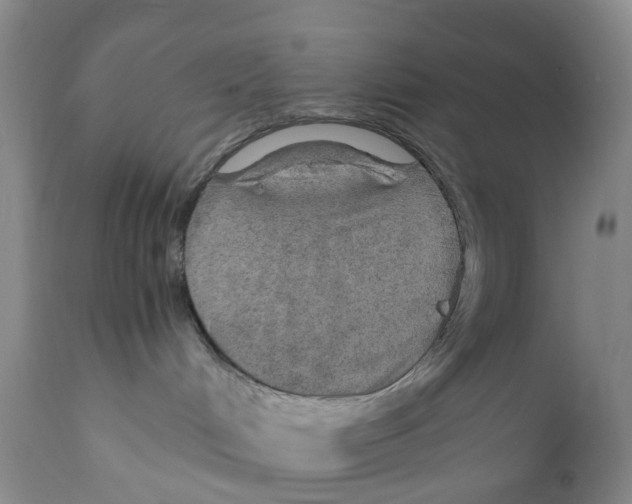 X0000110890048200907161537