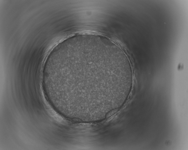 X0000110890049200907161536