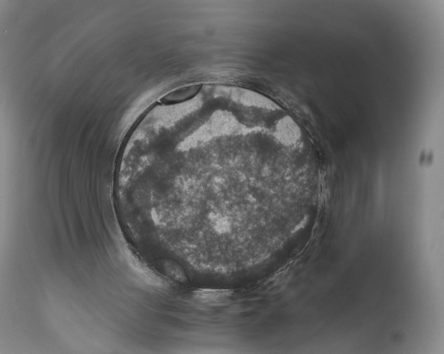 X0000110890051200907161536