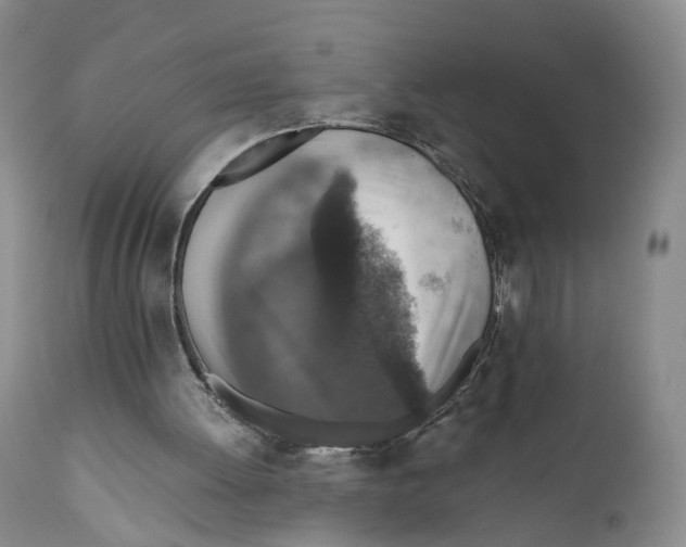 X0000110890052200907161536