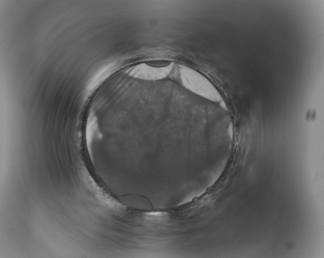 X0000110890053200907161536