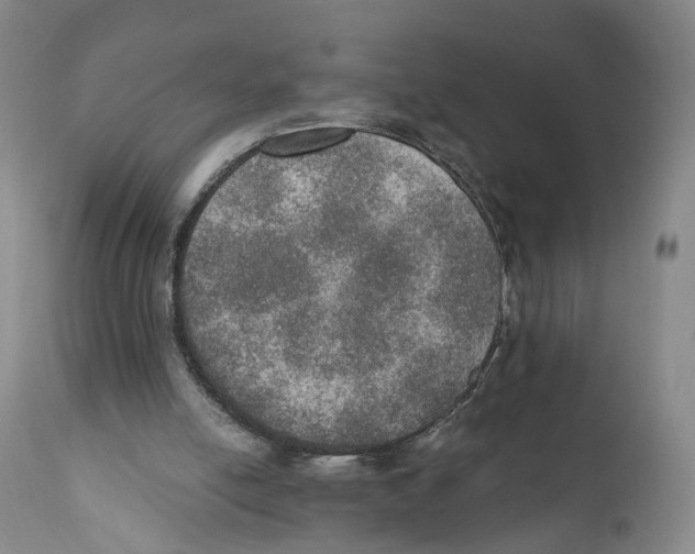 X0000110890054200907161536