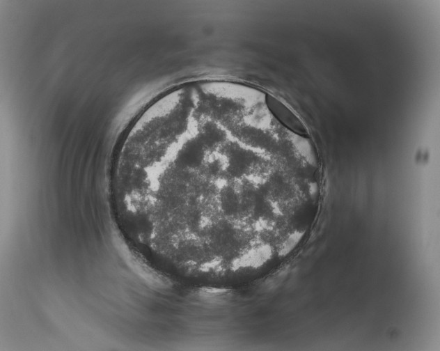 X0000110890055200907161536