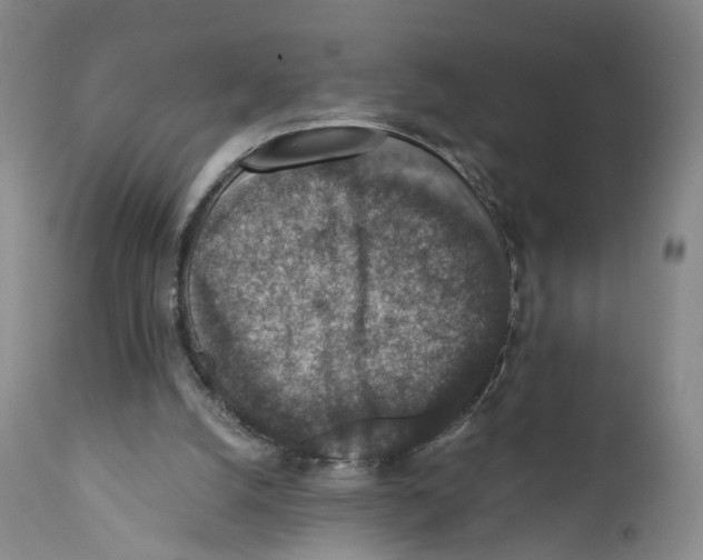 X0000110890056200907161536