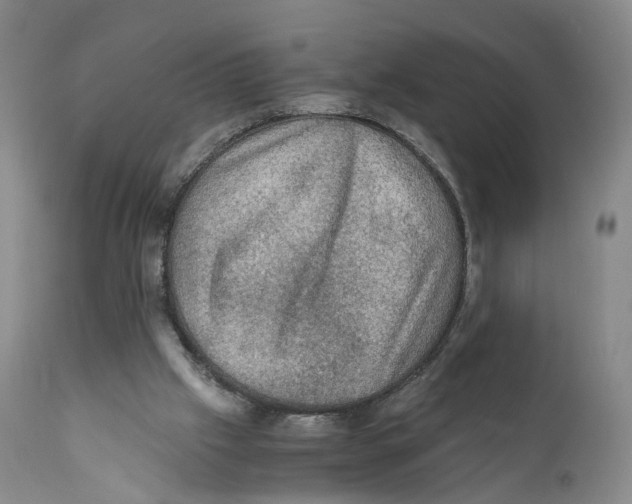 X0000110890057200907161536