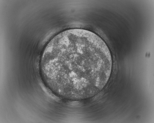 X0000110890058200907161536