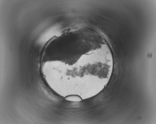 X0000110890059200907161536