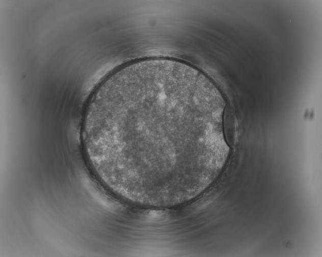 X0000110890060200907161536