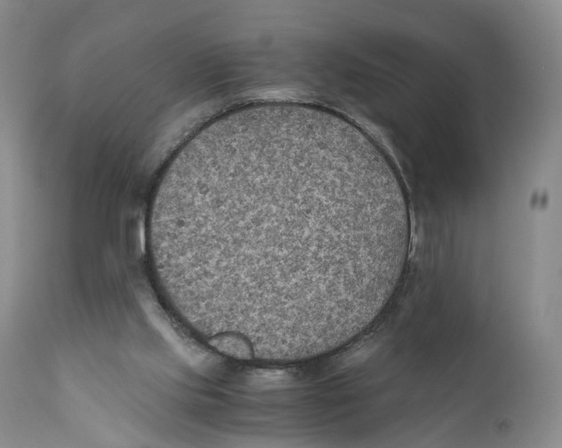 X0000110890061200907161536