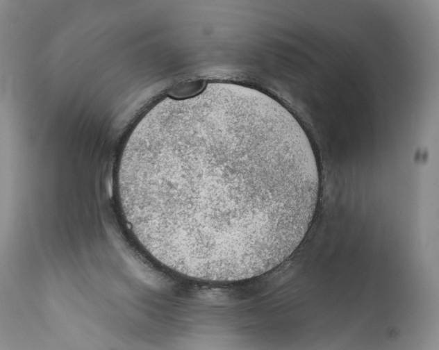 X0000110890062200907161536