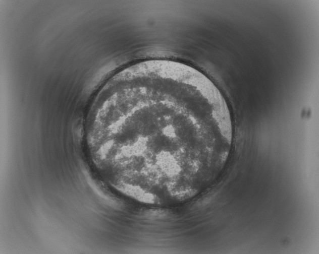 X0000110890063200907161536