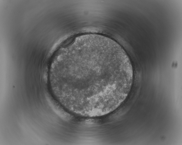 X0000110890064200907161536