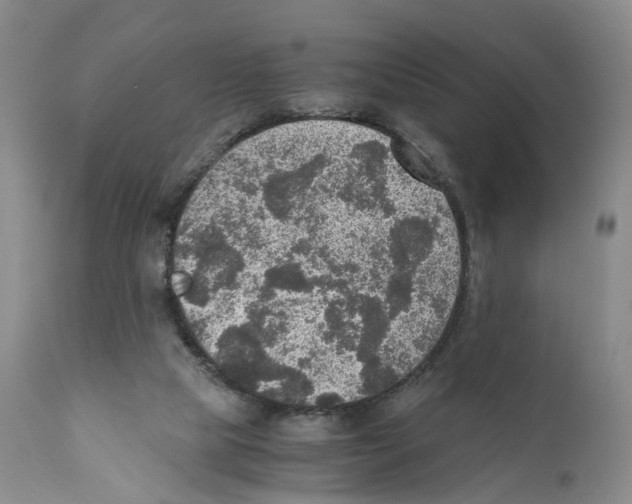 X0000110890065200907161536