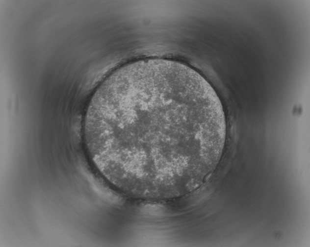 X0000110890066200907161536