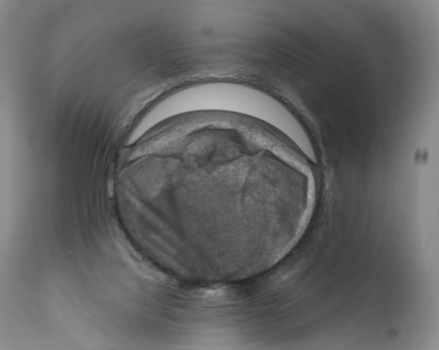 X0000110890068200907161536