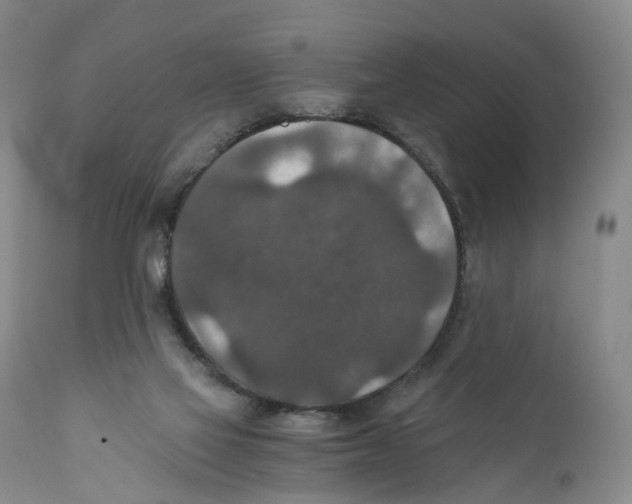 X0000110890069200907161536