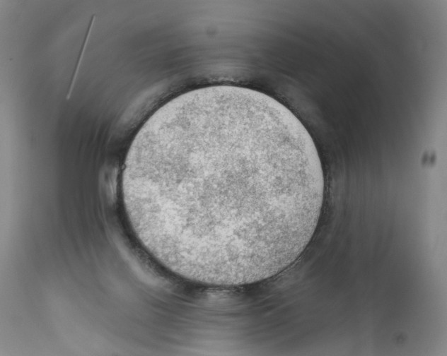 X0000110890070200907161536