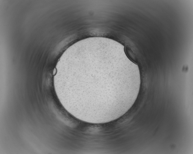 X0000110890071200907161536