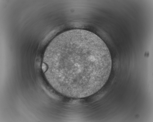 X0000110890072200907161536