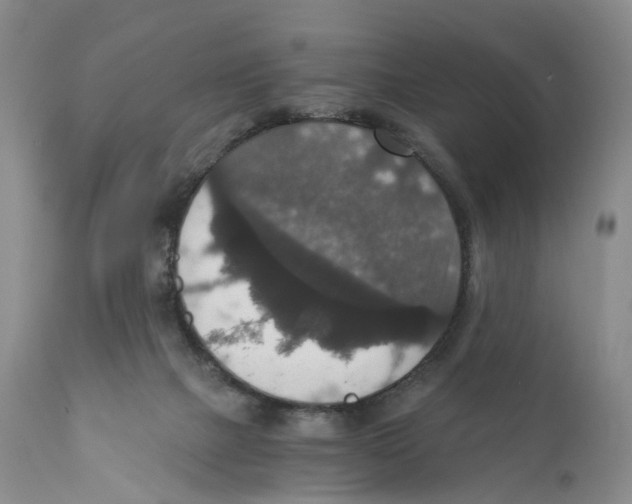 X0000110890073200907161536