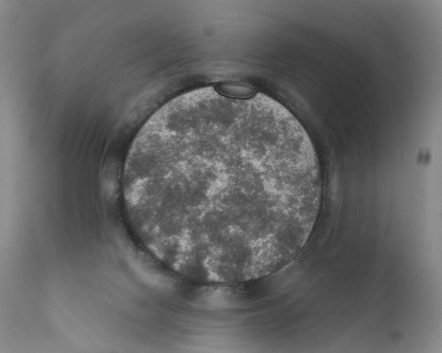 X0000110890074200907161536