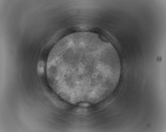 X0000110890075200907161536