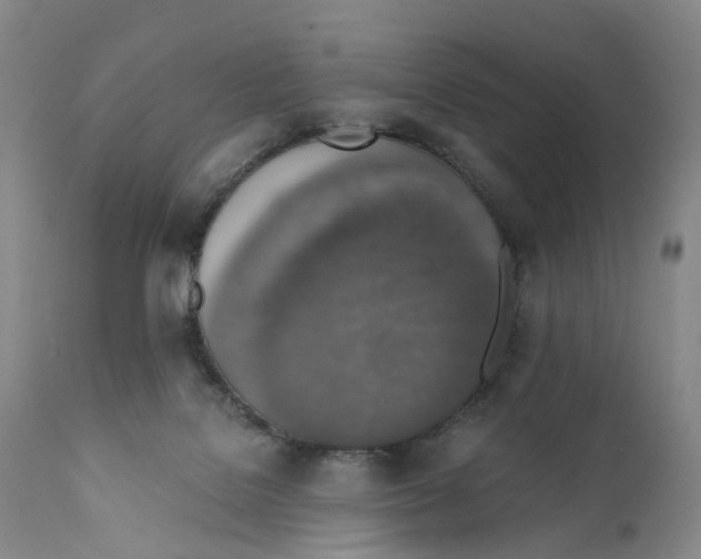 X0000110890076200907161536