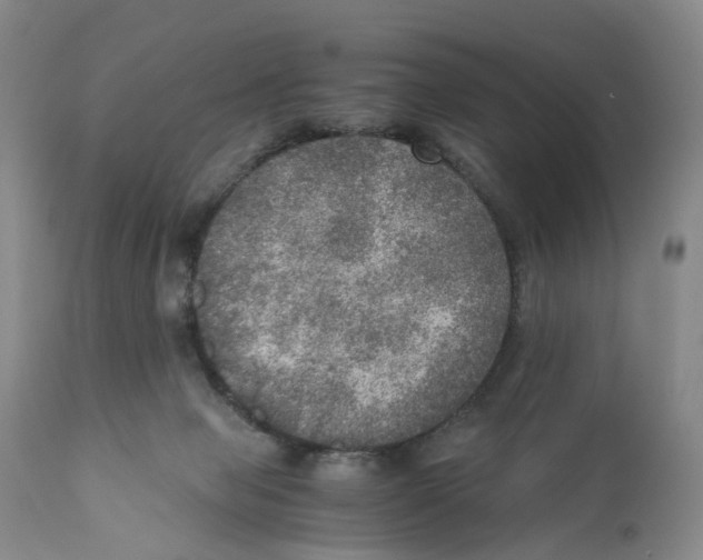 X0000110890077200907161536