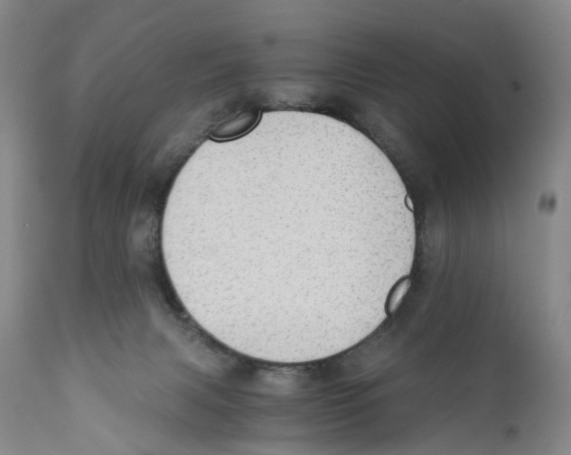 X0000110890079200907161537