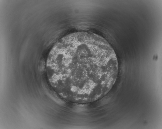 X0000110890081200907161537
