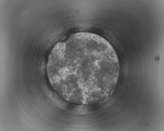 X0000110890082200907161537