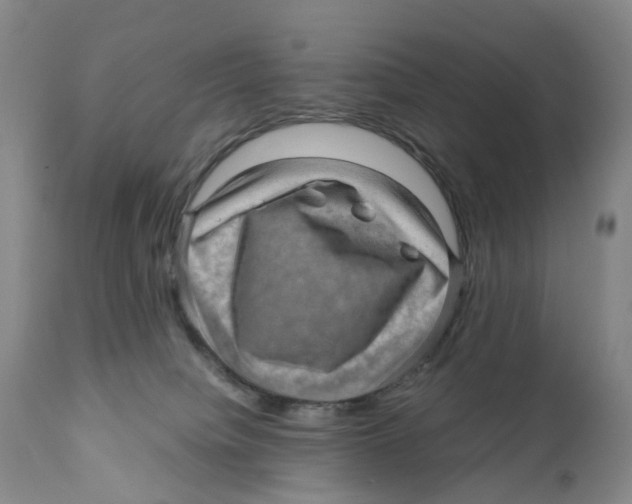 X0000110890084200907161537