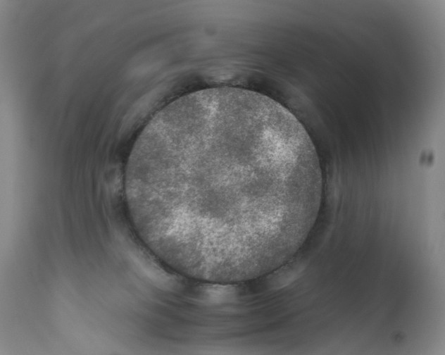 X0000110890085200907161537