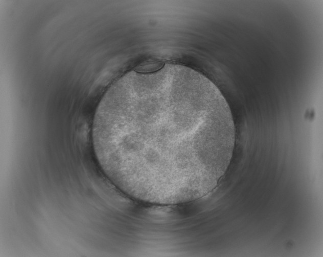 X0000110890086200907161537